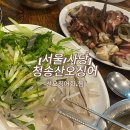 산오징어 이미지