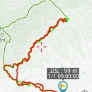 주)이천정비 | 이천 백사산수유둘레길 /산수유꽃으로 장관을 이루는 사랑 받는 명소 / 힐링로드100선