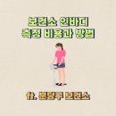 분당구보건소 | 분당구보건소 인바디 측정 비용과 신청 방법 정리
