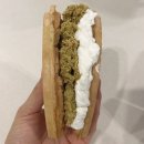 카페인중독고색동점