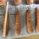 영암상회 이미지