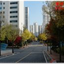 산본롯데아파트 9단지 앞