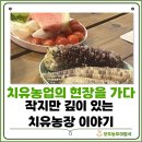 번창농장 | 333 체험관광 5팀, 안성 팝앤트리 치유농장에 다녀왔습니다