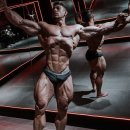 올피플 피트니스 이미지