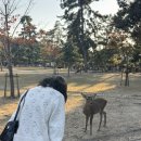 온천공원2 이미지