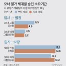 또래또래식당 이미지