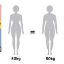 피트니스 H 이미지