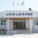노좌1리 티스토리