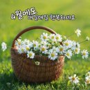 기공체조교실 이미지
