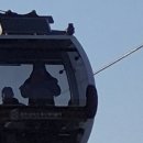 사랑의 하모니 | #도뮤토해누리어린이집 #졸업여행