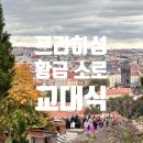 소로3-가오12 | 프라하 성 반나절 여행 후기 2탄 (황금 소로, 12시 근위대 교대식)