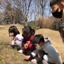 근화어린이집 이미지