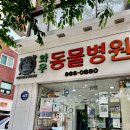 와우 동물병원 이미지