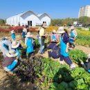 용인농장 이미지