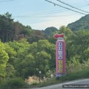 애견동반 지지밸리유명산캠핑장 | 계곡 물놀이 다이빙 명당자리