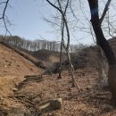 춘기목장 이미지