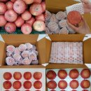 (판매중)경북사과 저온창고대방출! 착한과일 맛있는 정품 사과 및 사과즙 판매합니다. ^^ 이미지