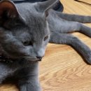 아이뷰뷰 이미지