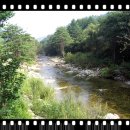 백봉령농장 이미지