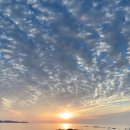 그여름애월바다 이미지