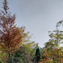 평화전자 이미지