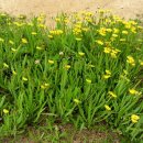 한탄강메기매운탕추어탕 이미지