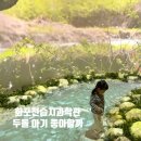 장유도서관 화장실 | 두돌 아기랑 화포천습지과학관 다녀온 후기 (자연놀이터 필수 예약)