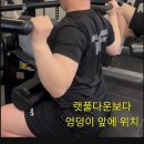 광양시청 | 광양PT 제대로 된 광양PT 중마동PT 탠핏휘트니스 광양시청점 정예진트레이너님 등운동 수업후기