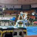 국가대표 태권도 금메달도장 이미지