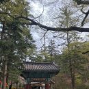 내변산 등산코스 최단코스 안내 및 등산후기 그리고 내변산 등산 지도