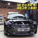 [하남신차패키지-스팅어] 목빠지게 기다린 회원님의 스팅어! 두번째 차량은 무사할 것인가!!