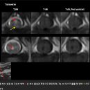 두암한방병원 이미지