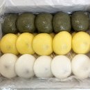 다원유치원 | 고덕떡맛집 다원 잔기지떡 온가족이 즐기는 평택떡맛집