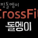 크로스핏돌멩이 이미지