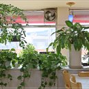 태양식당 이미지