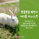 나래월드 이미지