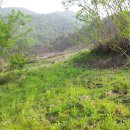 은행목장 이미지