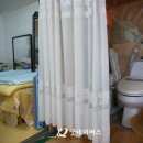 세남매 이미지