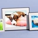 Best Photo Family 이미지