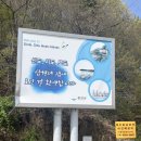 인천 데이트 신시모도 섬여행, 인천 노포 술집 참새와 방앗간 서울 근교 가볼만한 곳, 카페 하라보라