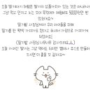 원아농장 이미지