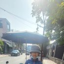 법률사무소호민