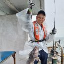 6월 23일 오천항 길손피싱호 선상낚시 --- 생미끼 우럭낚시^^ 이미지