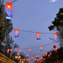 요천로 | 남원 광한루 야경 축제 + 빈타이 카페 코스 후기