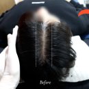 나는 소년이었다 SMP 이미지