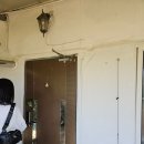 세븐일레븐 공주정안점 | 충남공주 애견동반 촌캉스 시골집손님방 후기 그리고 여행기