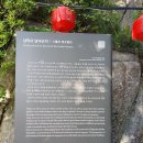 백련암지 | 240523 삼성산 삼막사(三聖山三幕寺)에 다녀오다