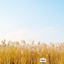센트럴파크역 2번출구 이미지