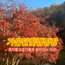 가은달빛캠핑장 네이버블로그