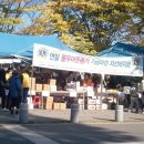 온골로 시사코리아저널